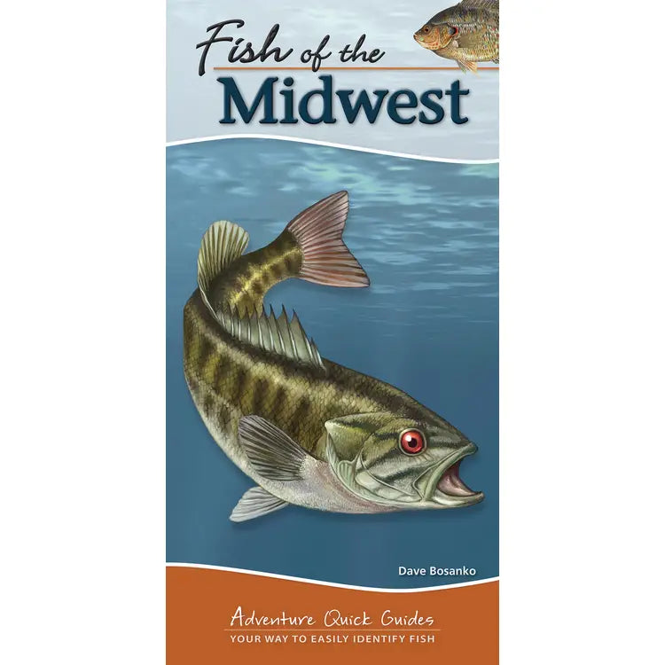 Fish of Midwest Quick Guide