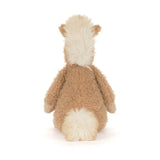Canterneigh Pony