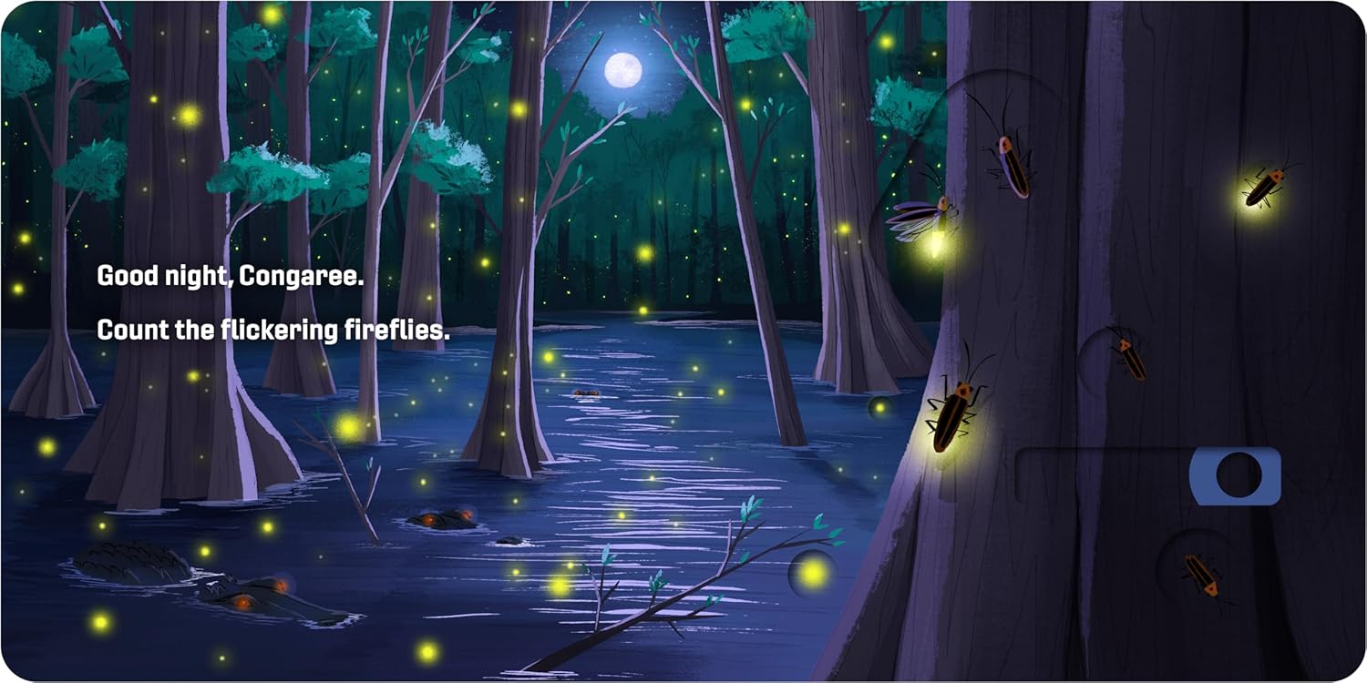 Good Night, National Parks Board Book