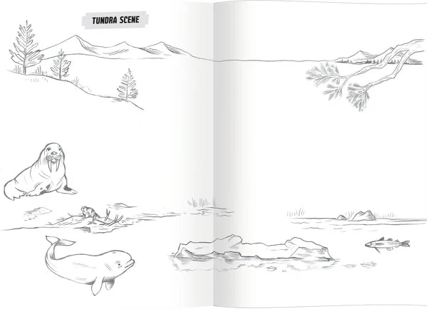 Learn to Draw Book