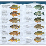 Fish of Midwest Quick Guide