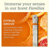 Lifelines Pen Diffuser