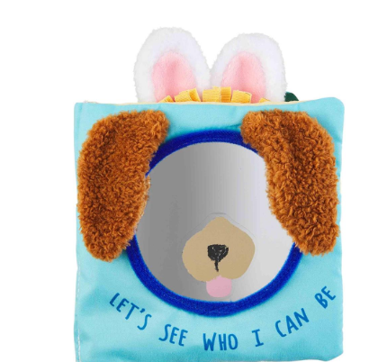 Animal Mirror Book