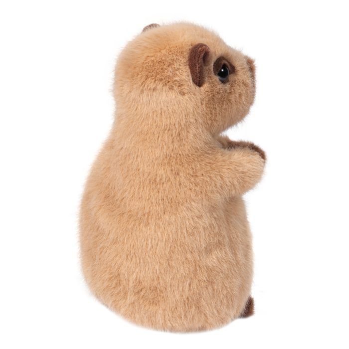 Chattie Capybara Mini