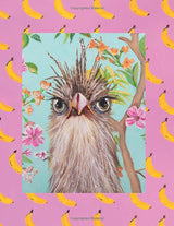 Giving the Bird: Bird Stories by Ashley Longshore