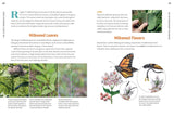 100 Plants To Feed The Monarch Book