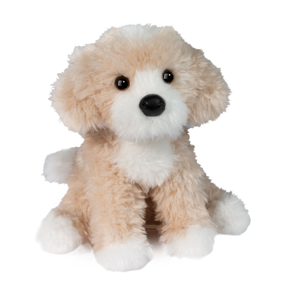 Darcy Golden Doodle