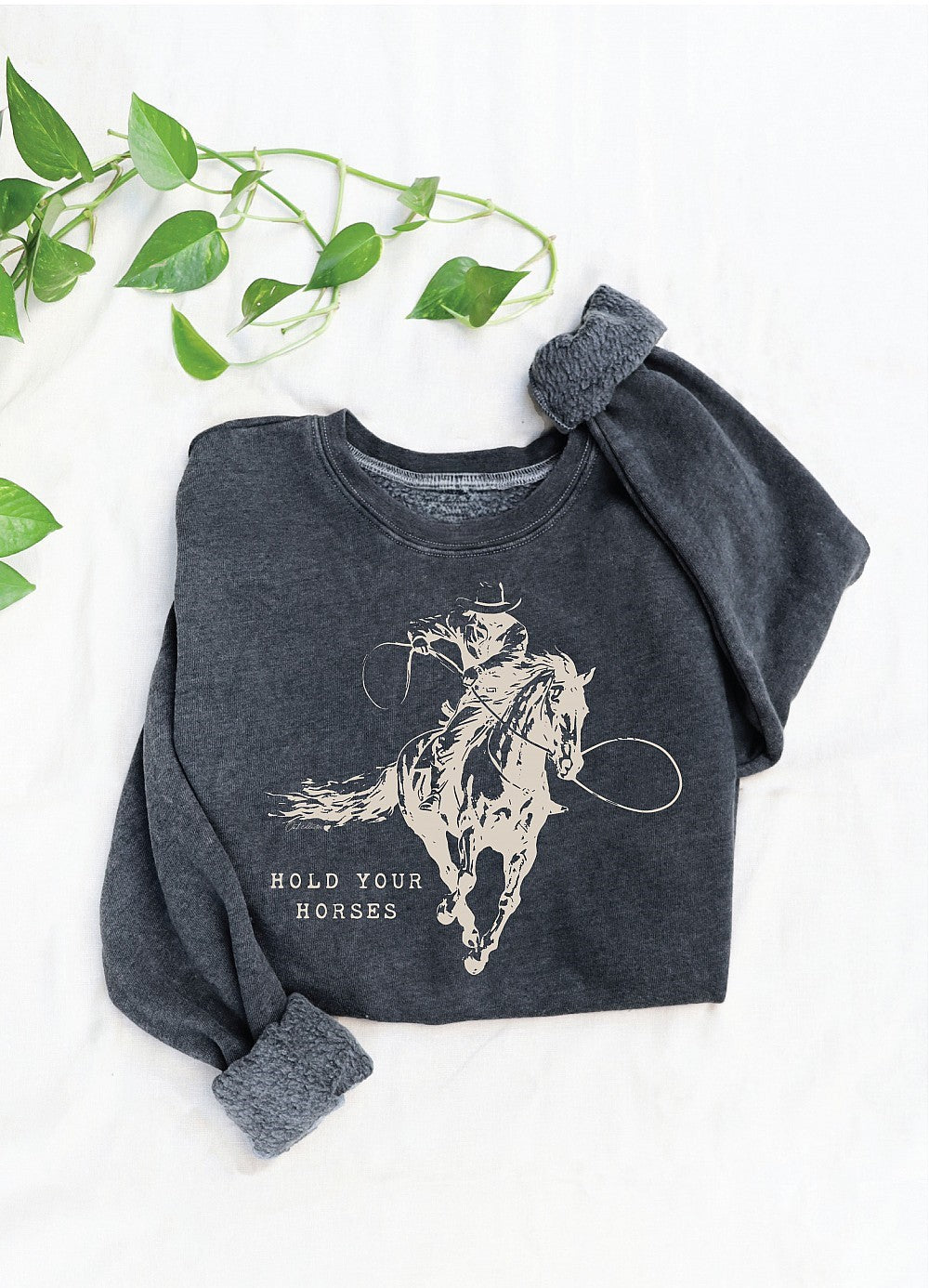 Hold Your Horses Graphic Sweatshirt Vintage Black