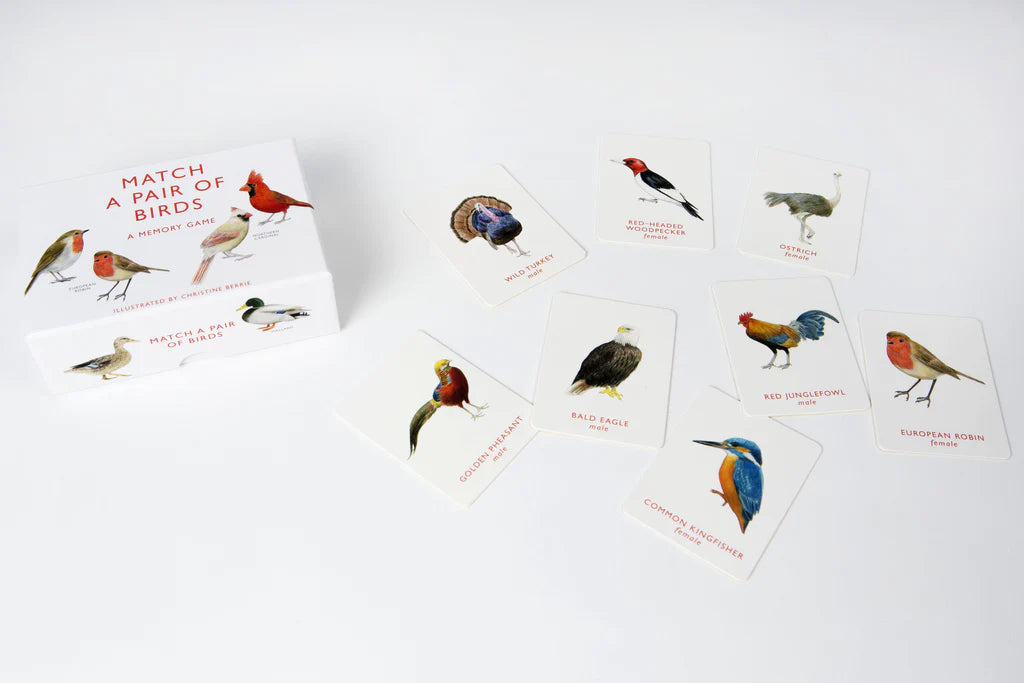 Match A Pair of Birds Game