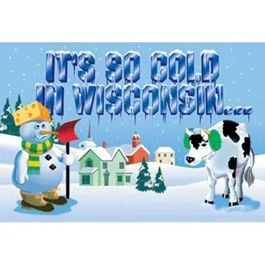 It's So Cold In Wisconsin Book