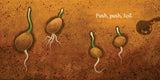 Wildflowers Grow Board Book