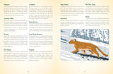 The National Parks Bucket List
