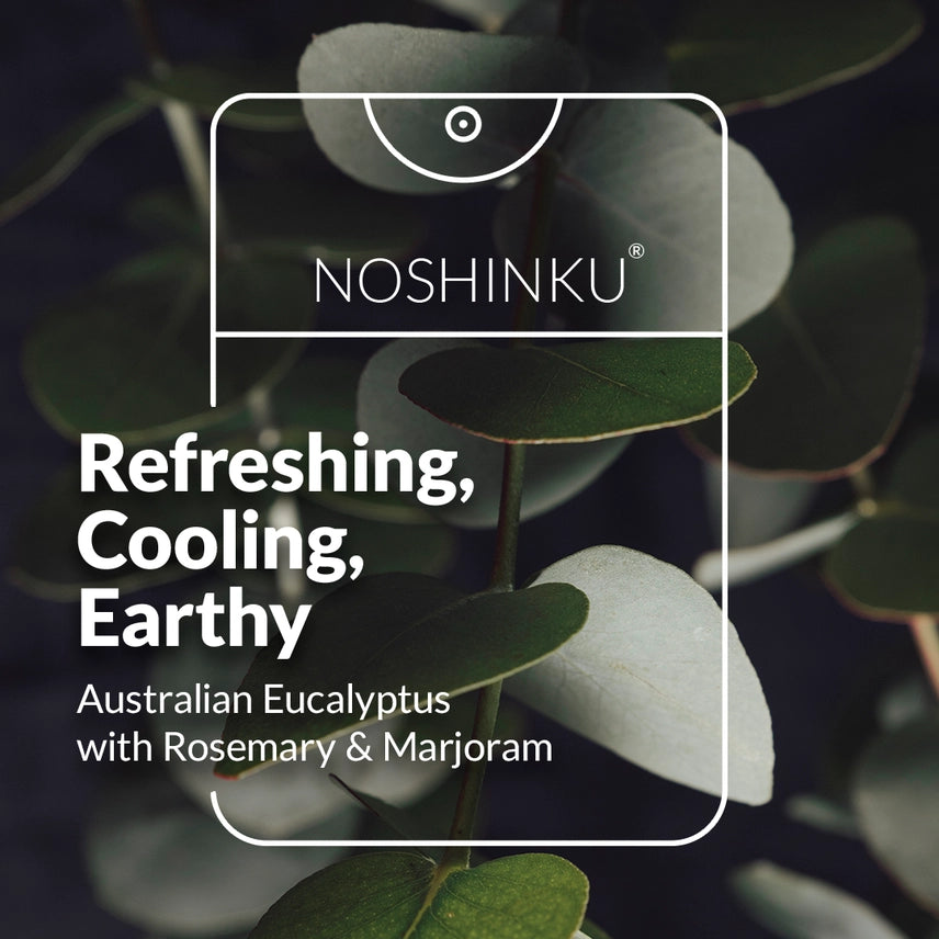 Noshinku Refillable Hand Sanitizer - 20ml