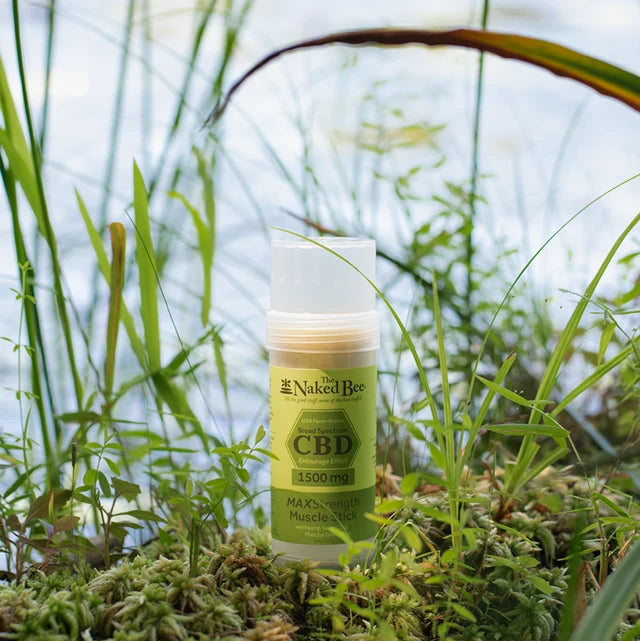 15mg Broad Spectrum CBD MAXStrength Muscle Stick - 2 OZ