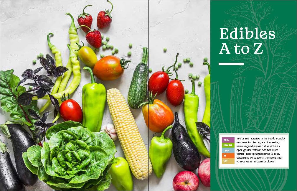 The Beginner's Guide To Growing Vegetables