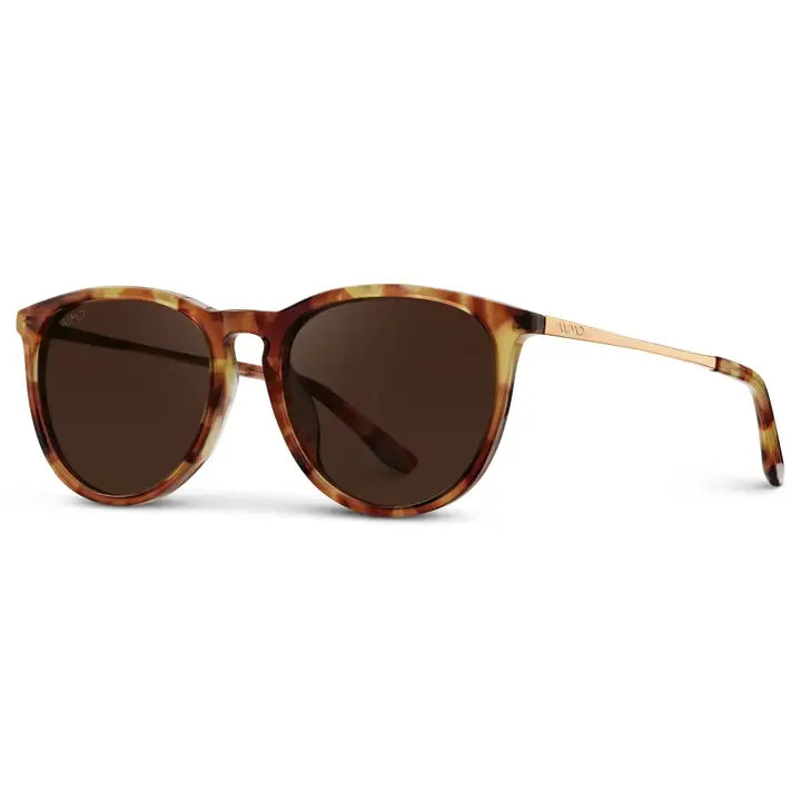 Drew Sunglasses Maple Tortoise | Dark Brown