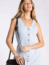 Irving Dress Blue White Microstripe