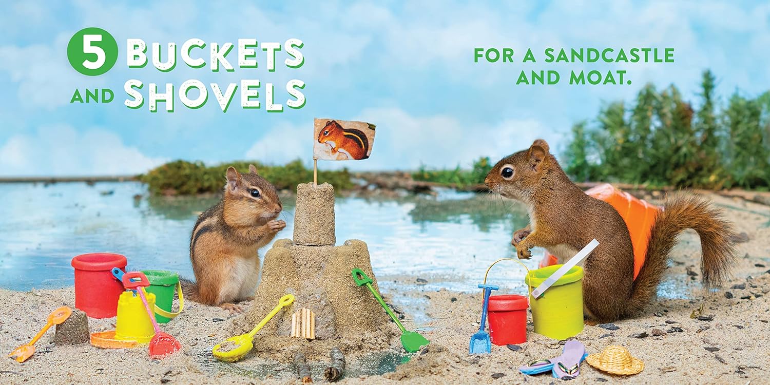 Oakley the Squirrel: Camping 1, 2, 3! A Nutty Numbers Book