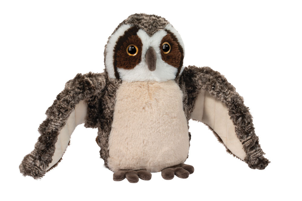 Echo Owl