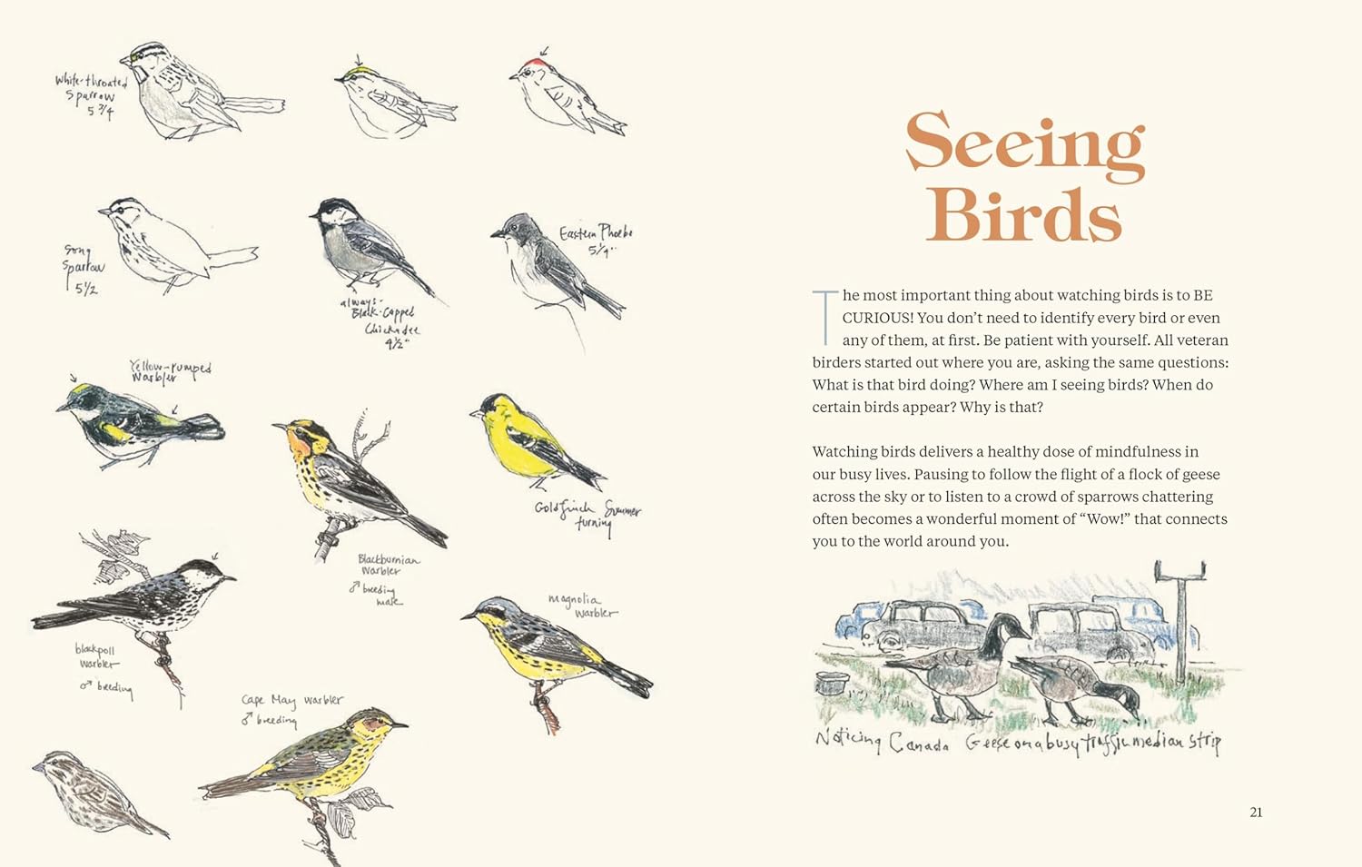 How To Look At A Bird: Open Your Eyes To The Joy