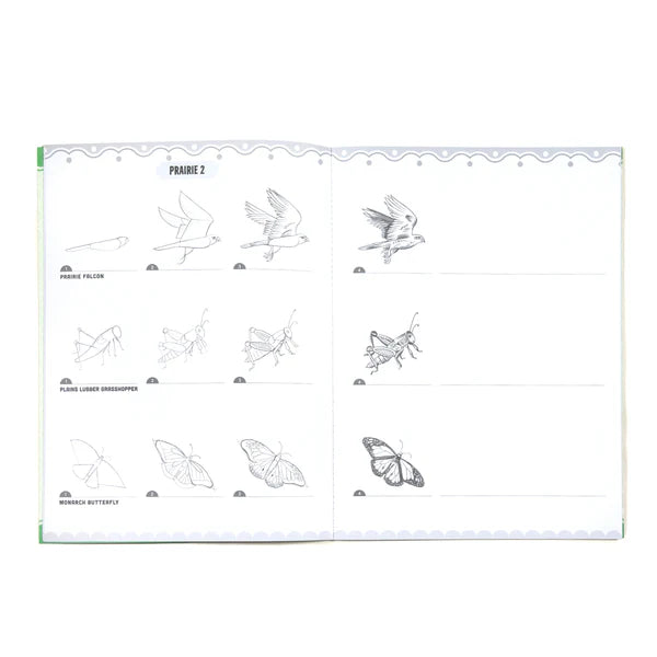 Learn to Draw Book