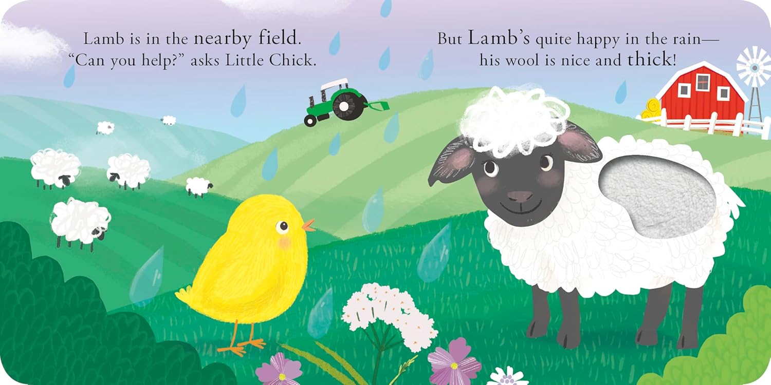 Little Chick Board Book