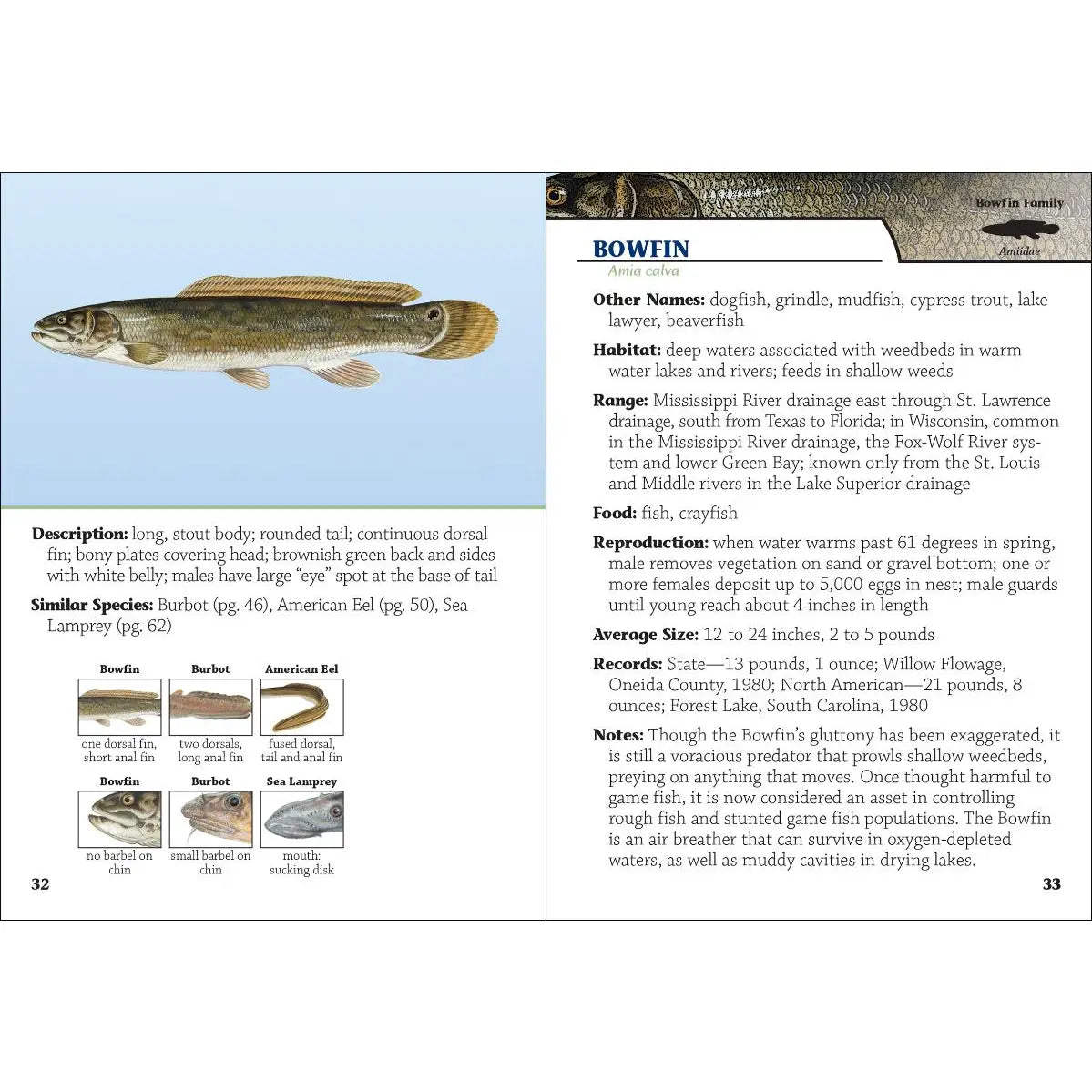 Fish Of Wisconsin Field Guide