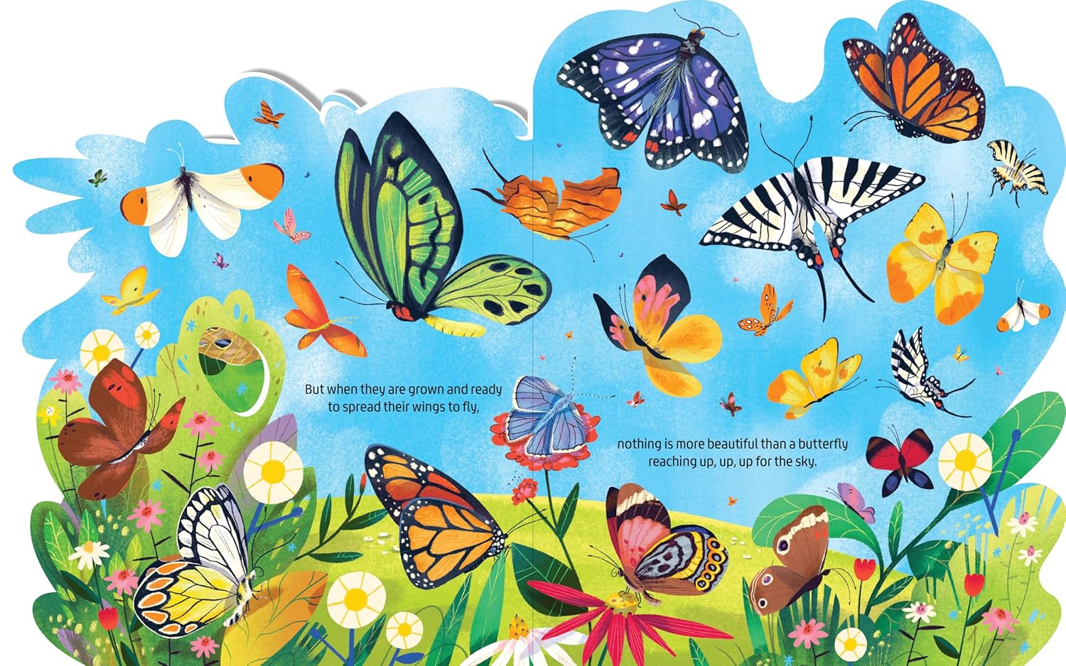 Beautiful Butterflies Layered Board Book