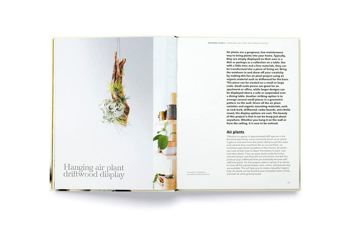 How To Plant A Room & Grow A Happy Home Book
