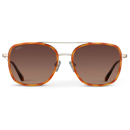 Gia Sunglasses