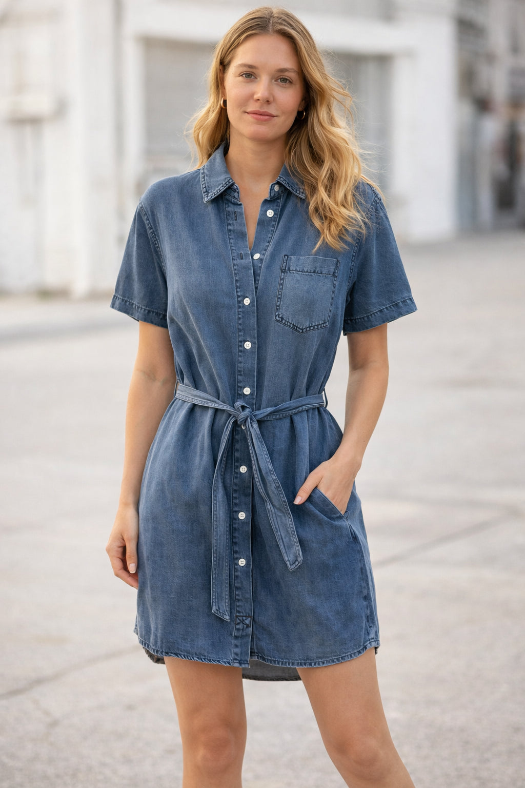 Dover Short Sleeve Dress Indigo