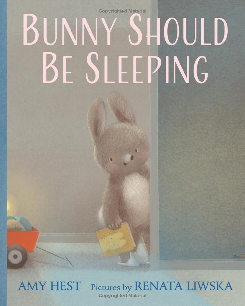 Bunny Should Be Sleeping Hardcover Book