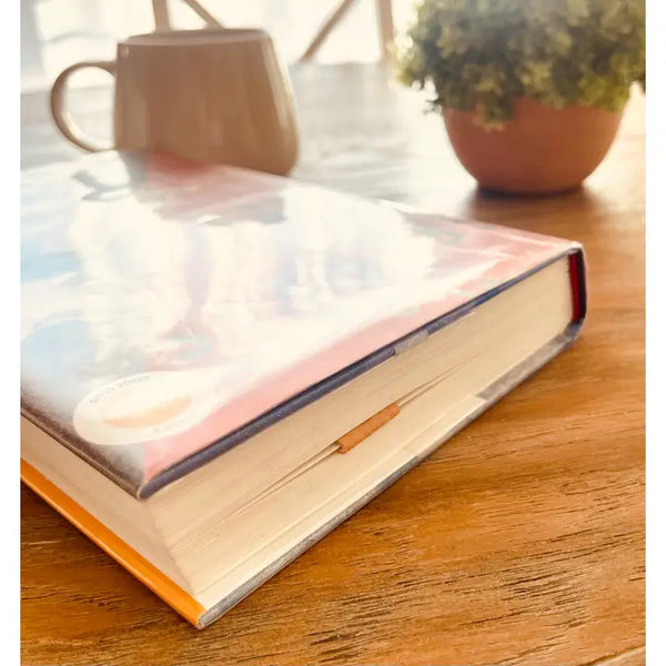 Magnetic Bookmark Pair