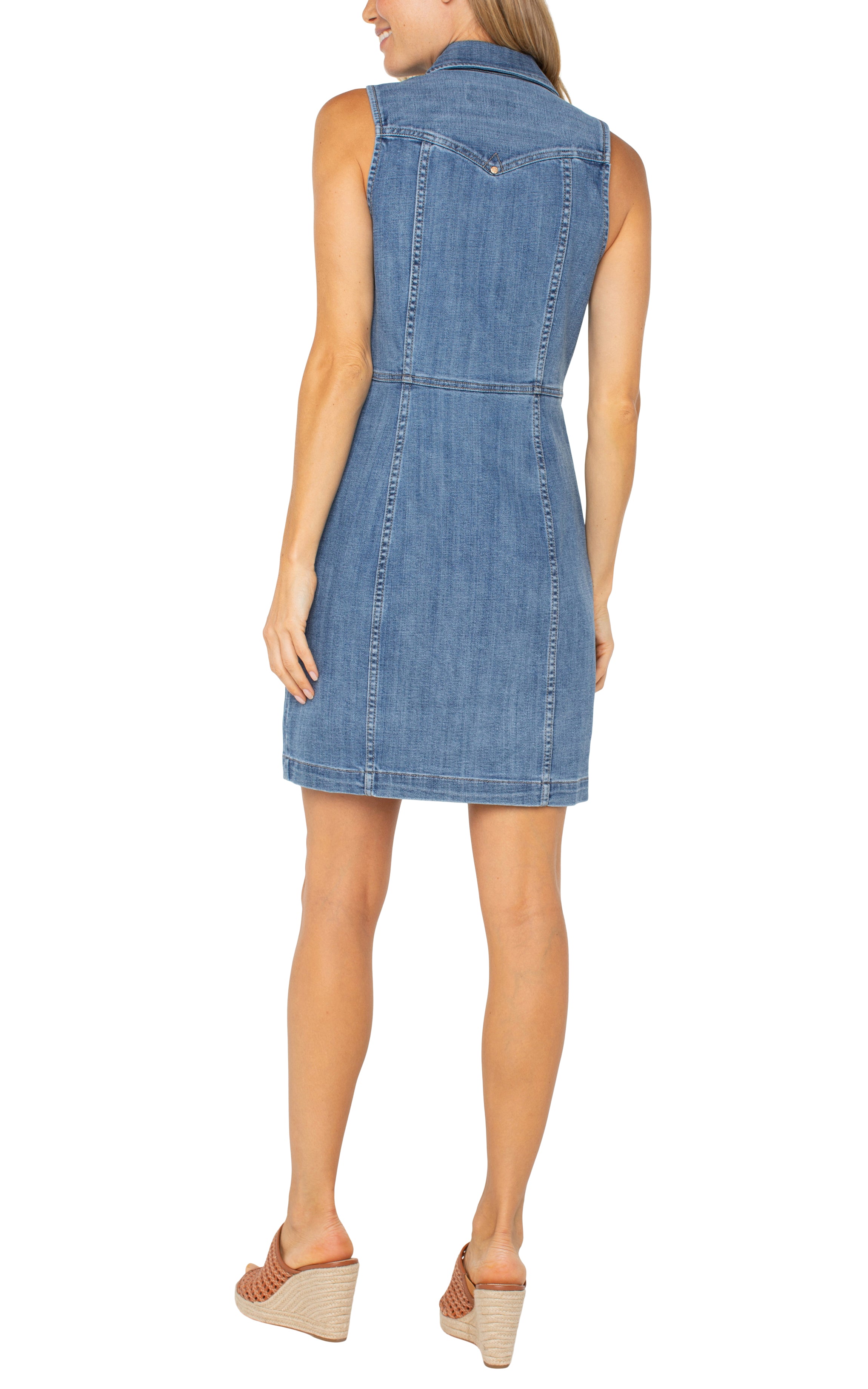 Trucker Denim Dress Ellendale