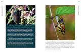 100 Plants To Feed The Monarch Book