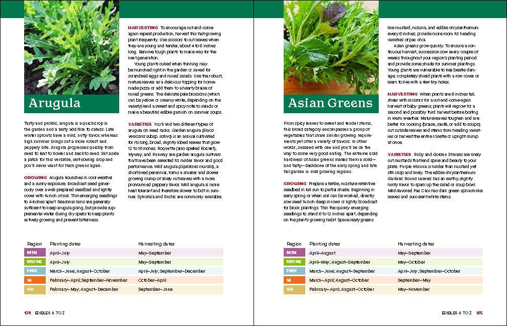 The Beginner's Guide To Growing Vegetables