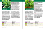 The Beginner's Guide To Growing Vegetables