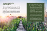 Walking for Mind, Body & Soul: How To Walk Your Way To Wellness