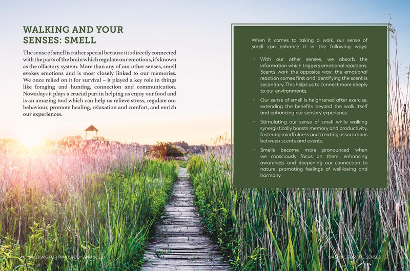 Walking for Mind, Body & Soul: How To Walk Your Way To Wellness