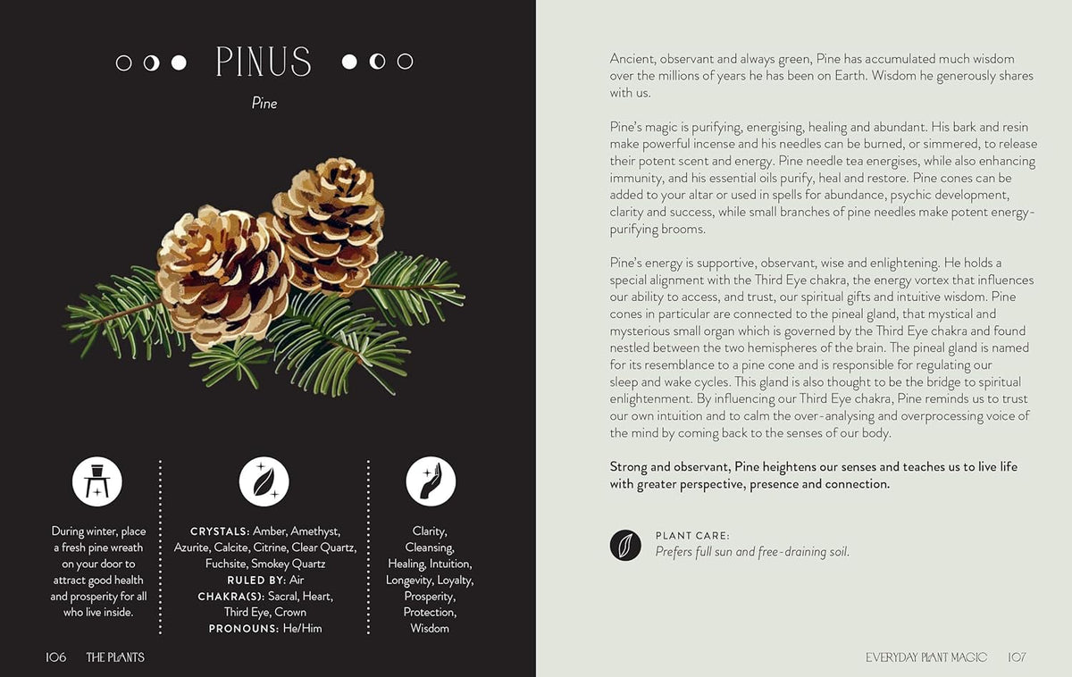 Everyday Plant Magic Book