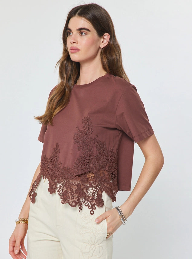 Lace Hem Cropped Tee Brown