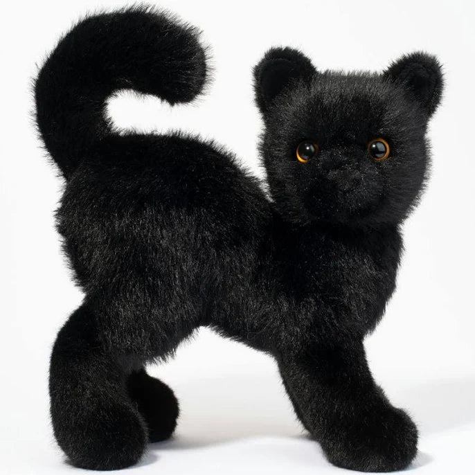 Scaredy Black Cat