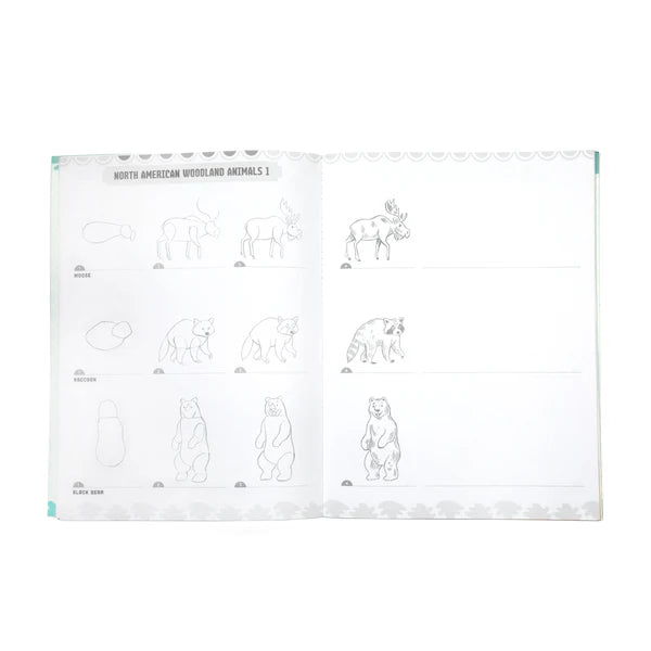 Learn to Draw Book