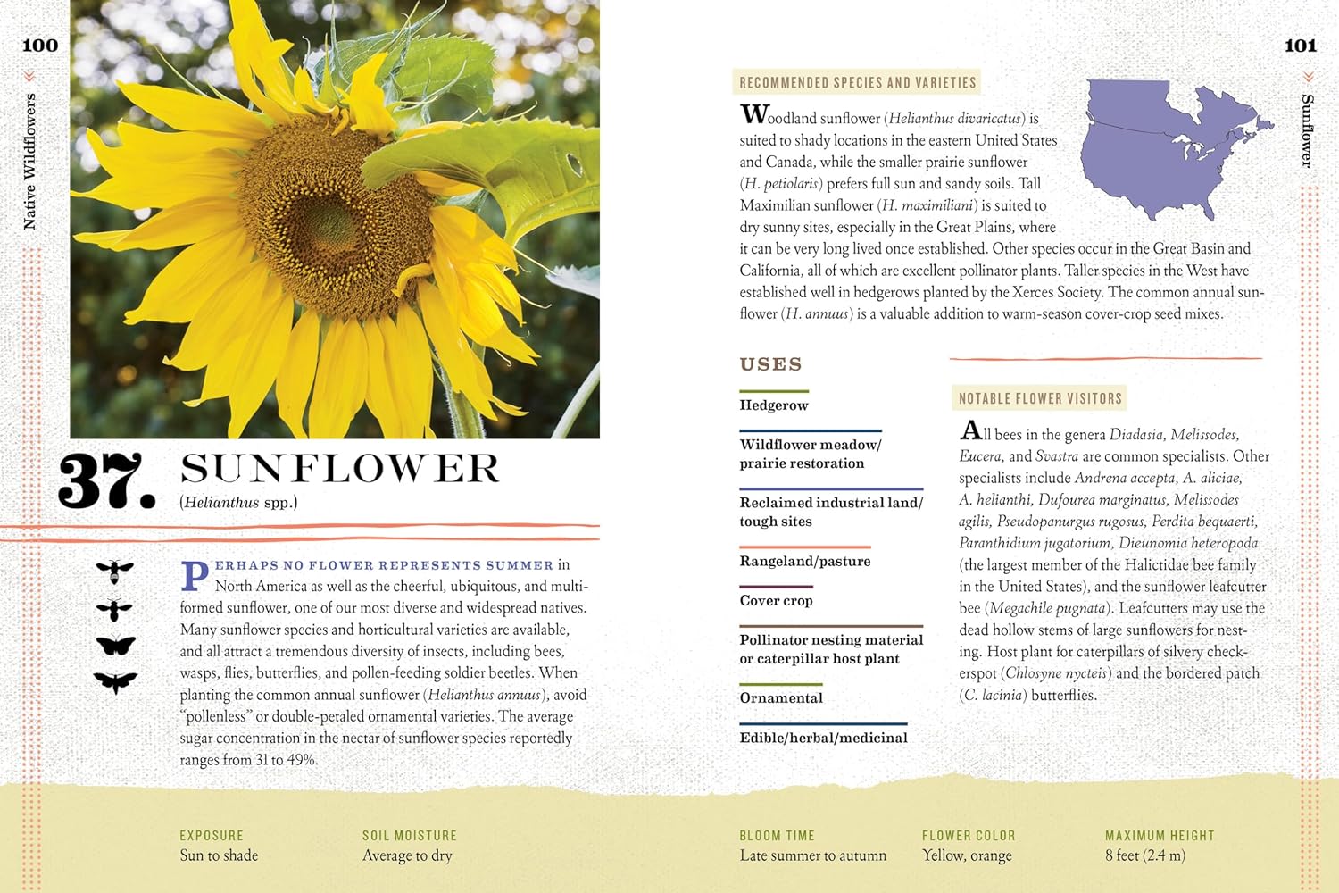 100 Plants To Feed The Bees