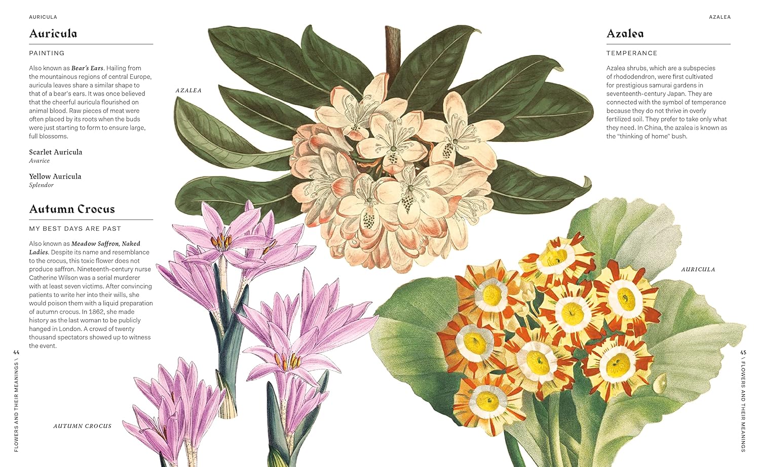 Flowers & Their Meanings Book
