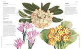Flowers & Their Meanings Book