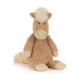Canterneigh Pony