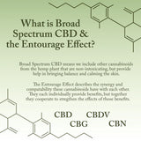 CBD Broad Spectrum Lotion - 250 mg - 2.5 OZ