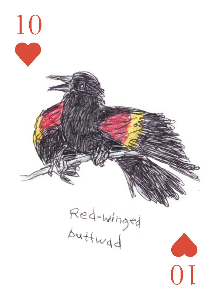Field Guide to Dumb Birds Playing Cards