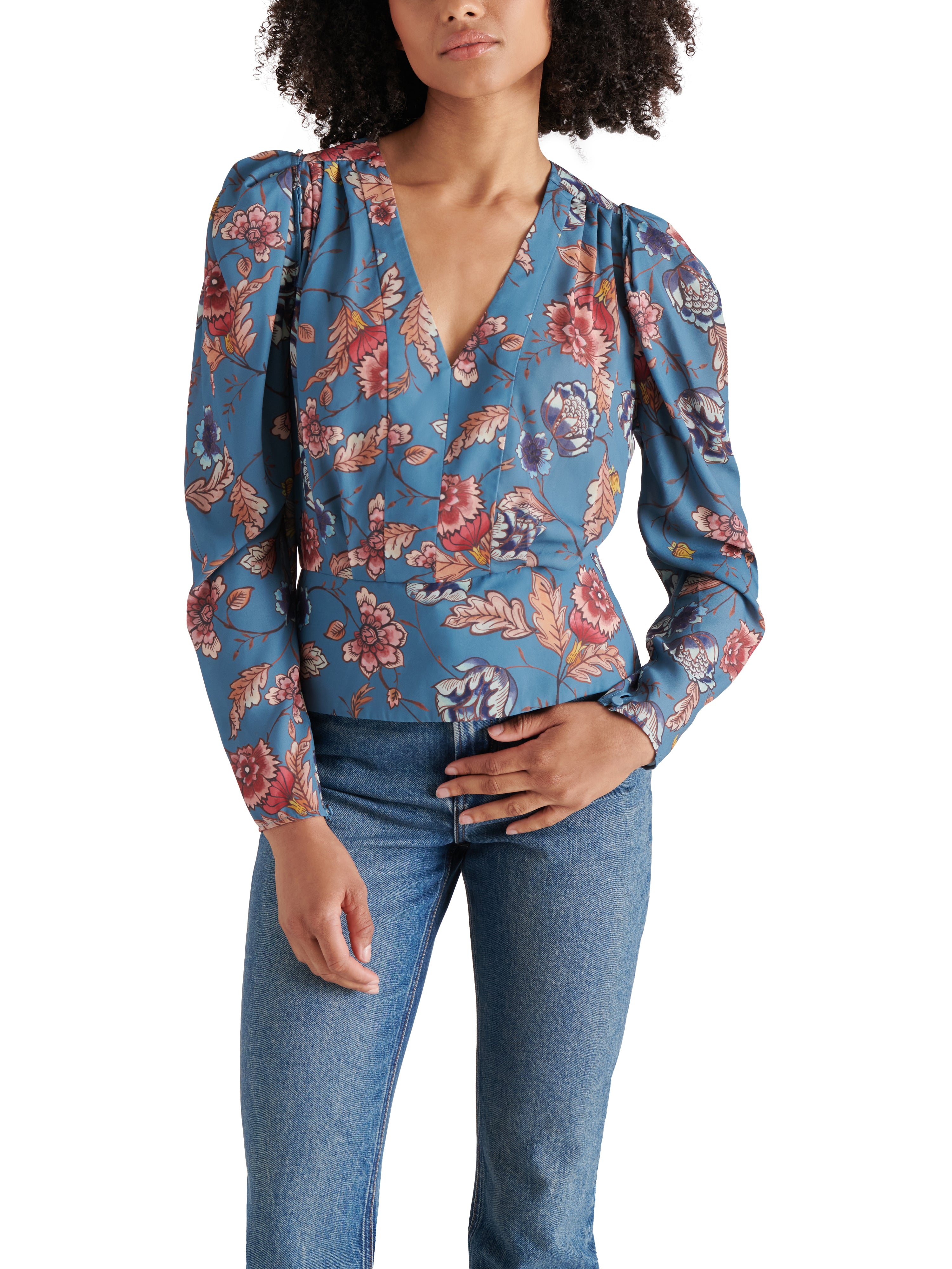 Saige V Neck Folklore Floral Long Sleeve Top Celestial Blue